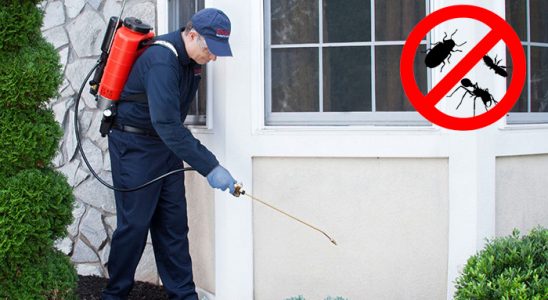 Adapazarı Haşere İlaçlama böcek ilaçlama ve haşere kontrolü — ilaclama-tr.com